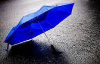 Природа сходит с ума. Метеорологи уверены, что сезоны времен года теперь начинаются с серьезным отклонением от нормы